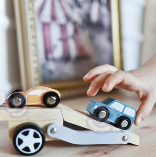 MEDINIS SUNKVEŽIMIS SU AUTOMOBILIAIS