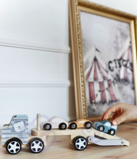 MEDINIS SUNKVEŽIMIS SU AUTOMOBILIAIS
