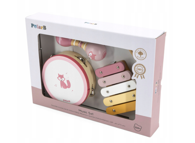 MUZIKOS INSTRUMENTŲ RINKINYS PINK