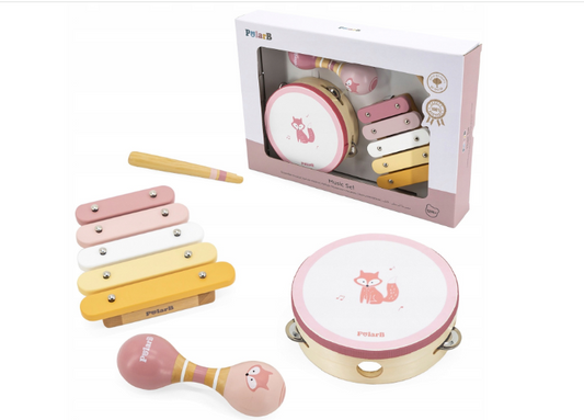 MUZIKOS INSTRUMENTŲ RINKINYS PINK