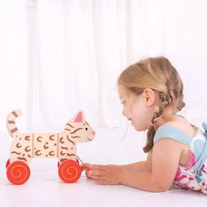 Bigjigs medinis traukiamas Kačiukas