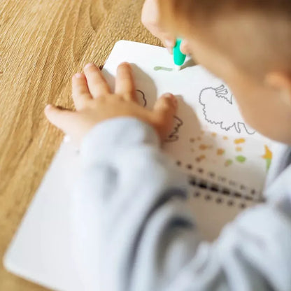 Dodo spalvinimo vandeniu knygutė Fėjos